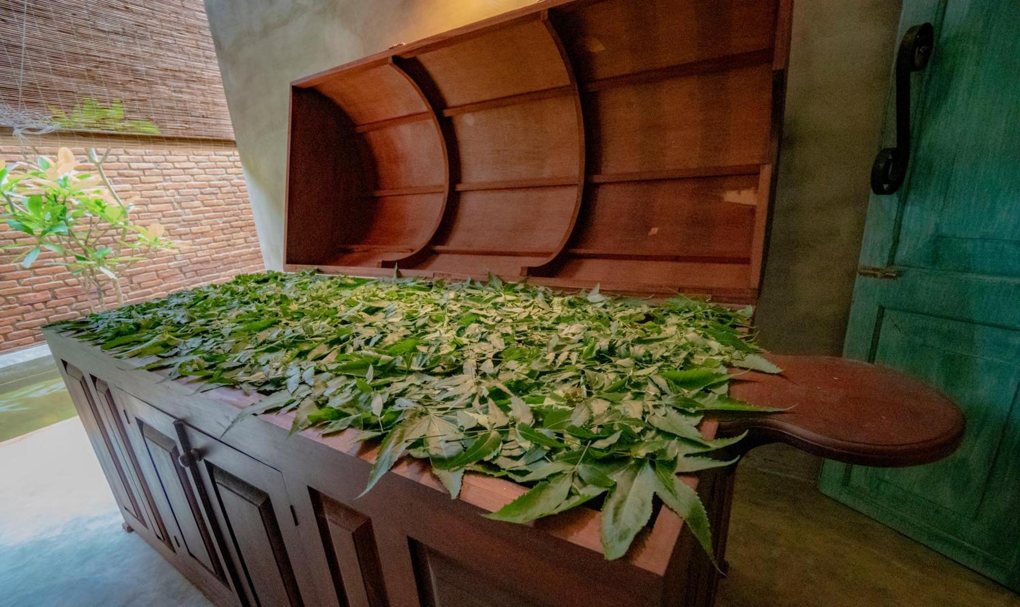 Ayur Ayur Resort & Ayurveda Retreat Негомбо Экстерьер фото